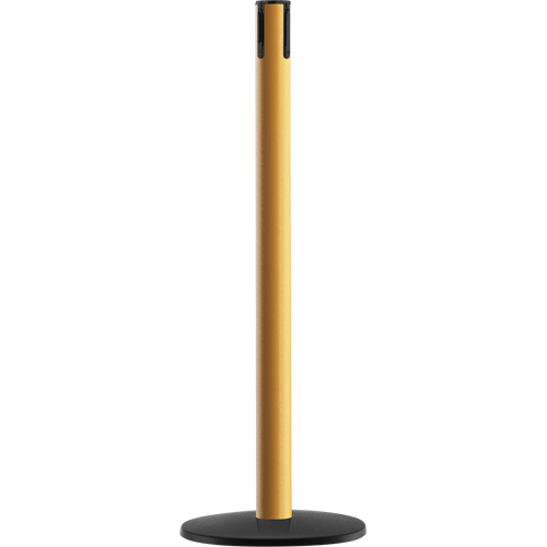 Syst&egrave;me Advance TensaBarrier - Poteau r&eacute;cepteur, Hauteur de 36", Jaune Quali-T-Solutions