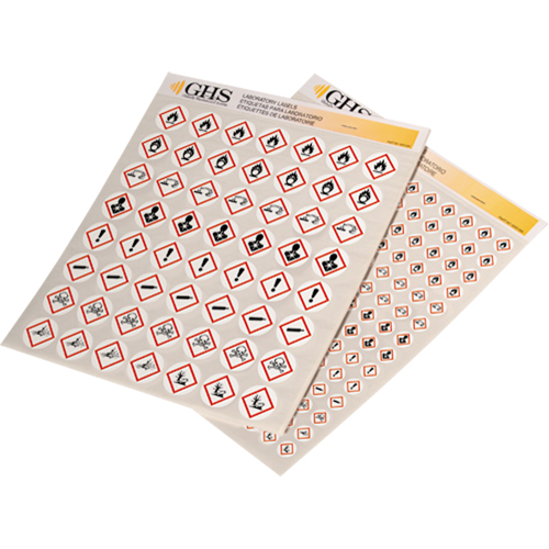 Assortiment d'&eacute;tiquettes avec pictogrammes sgh, Vinyle, Feuille, 1" lo x 1" la Quali-T-Solutions
