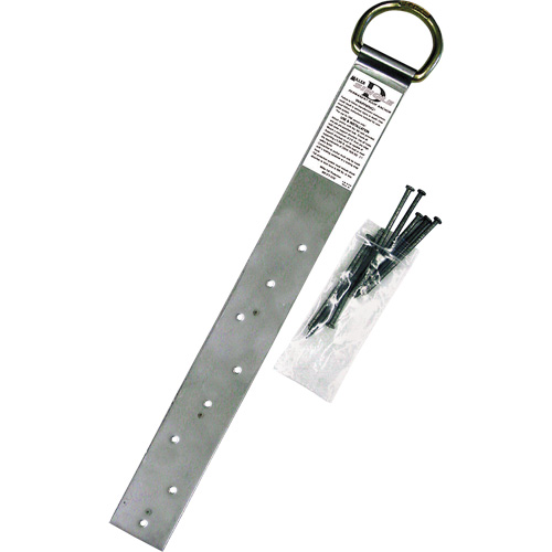 Ancrage simple pour toiture Miller, Anneau en D, Usage Permanent Quali-T-Solutions