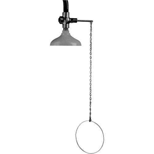 Lifesaver&reg; Emergency Overhead Showers, Ceiling-Mount Quali-T-Solutions