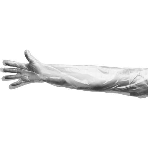Disposable Gloves, Large, Polyethylene, 9-mil, Powdered, Clear Quali-T-Solutions