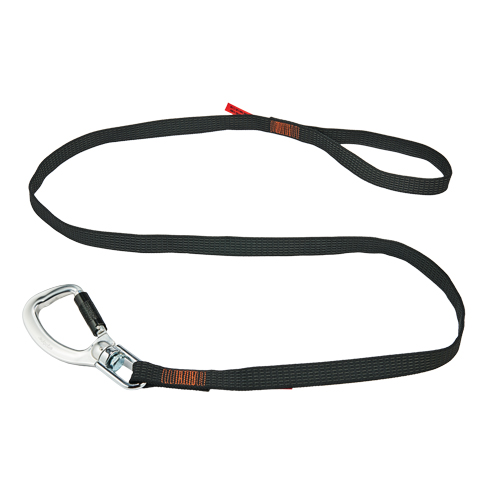 Longe porte-outils &agrave; rotule et &agrave; verrouillage double Squids 3129, Longueur fixe, Mousqueton/boucle Quali-T-Solutions