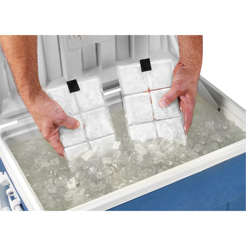 Sachets pour veste de refroidissement &agrave; changement de phase 6260 Chill-Its Quali-T-Solutions