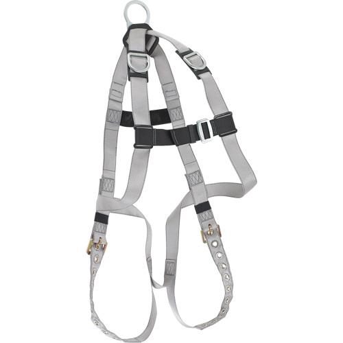 Dynamic B-Compliant Economy Harness, CSA Certified, Class AE, 310 lbs. Cap. Quali-T-Solutions