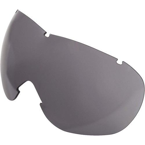 Lentille de rechange pour les lunettes de s&eacute;curit&eacute; &agrave; coques Uvex Sub-Zero, Antibu&eacute;e/anti-&eacute;gratignures, Gris, Uvex Sub-Zero Quali-T-Solutions