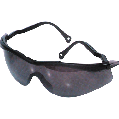 Lunettes de s&eacute;curit&eacute; North The Edge, Lentille Fum&eacute;e, Antibu&eacute;e/Anti-&eacute;gratignures, R&eacute;pond ou surpasse la norme CSA Z94.3 Quali-T-Solutions