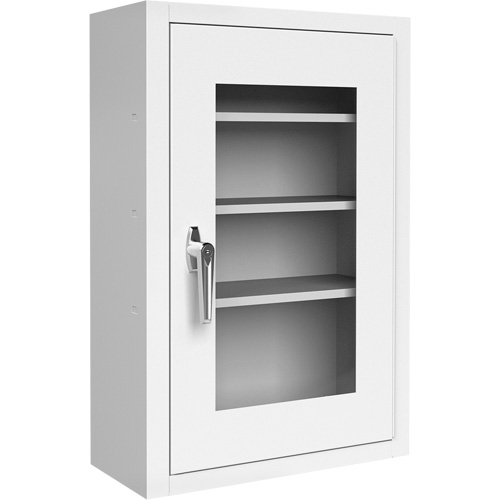 Lockable Medicine Cabinet with Plexiglas Door Quali-T-Solutions