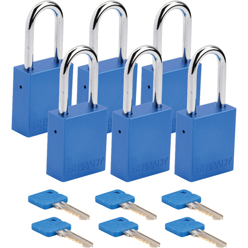 Cadenas de s&eacute;curit&eacute;, Cadenas de s&eacute;curit&eacute;, Cl&eacute;s identiques, Aluminium, Largeur de 1-1/2" Quali-T-Solutions