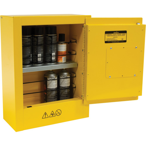 Armoire de s&eacute;curit&eacute; miniature pour produits inflammables, 2 gal., 1 Porte(s), 17" La x 22" h x 8" p Quali-T-Solutions