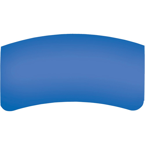 Lentille ext&eacute;rieure Bullard GenVX PETG Quali-T-Solutions