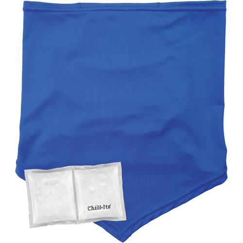 Cache-cou/bandana de refroidissement Chill-Its 6482 avec sachet r&eacute;frig&eacute;rant &agrave; changement de phase r&eacute;utilisable, grand/tr&egrave;s-grand, Bleu Quali-T-Solutions
