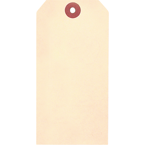 &eacute;tiquettes vierges en papier cartonn&eacute; de manille, Papier cartonn&eacute;, 1-5/8" la x 3-1/4" h Quali-T-Solutions