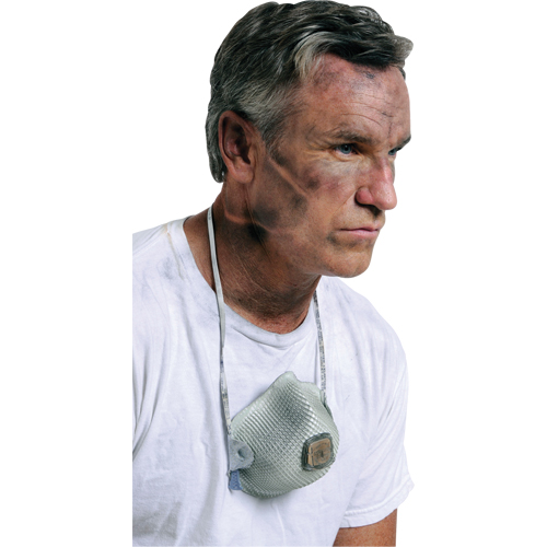 Respirateurs  contre les particules 2700, N95, Certifi&eacute; NIOSH, Grand/Moyen Quali-T-Solutions