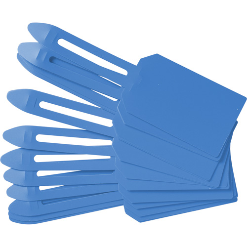 Blank Plastic Lock-On Tags, Plastic, 3-1/4" W x 5-4/5" H, Blank Quali-T-Solutions