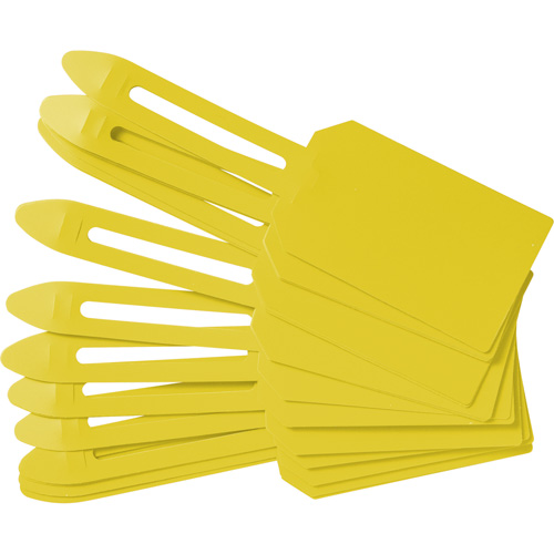 Blank Plastic Lock-On Tags, Plastic, 3-1/4" W x 5-4/5" H, Blank Quali-T-Solutions