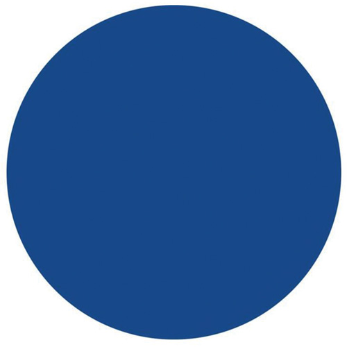 &eacute;tiquettes rondes inscriptibles, Cercle, 1,5" lo x 1,5" la, Bleu Quali-T-Solutions