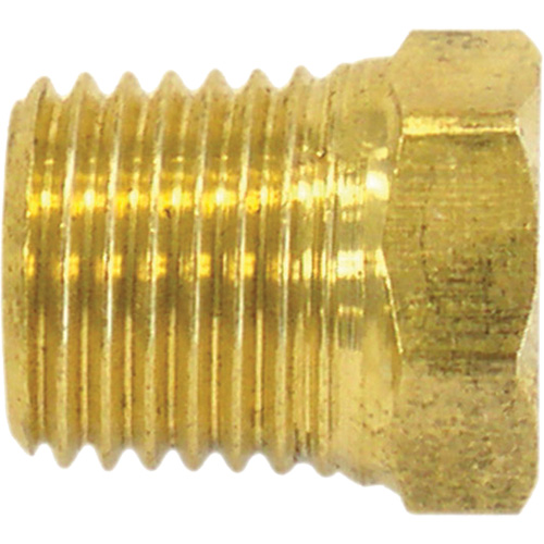 Pipe Plug (Hex Head), 1/8" Dia., Brass Quali-T-Solutions