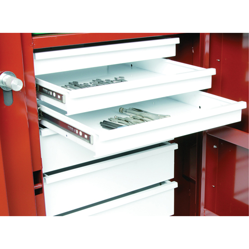 &eacute;tabli roulant, 49-7/8" la x 40-5/8" h x 26-7/8" p, Capacit&eacute; de 24,6 pi³ Quali-T-Solutions