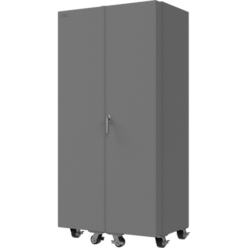 Empty Mobile Cabinet Quali-T-Solutions