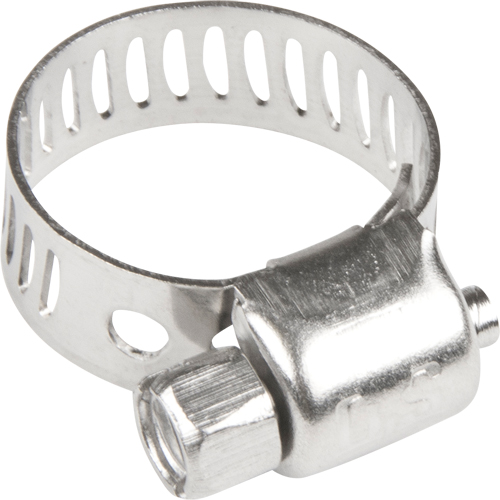 Colliers de serrage pour tuyaux - Collier de serrage & vis en acier inoxydable, Dia. min 1/5", Dia. max 5/8" Quali-T-Solutions