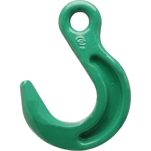 Crochet de fonderie &agrave; œil Cam-Alloy Quali-T-Solutions