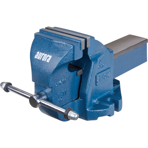 &eacute;tau d'&eacute;tabli robuste, Largeur des m&acirc;choires 5", Profondeur de la gorge 3-3/10" Quali-T-Solutions