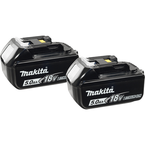 Blocs-piles, Lithium-ion, 18 V, 5,0 A Quali-T-Solutions