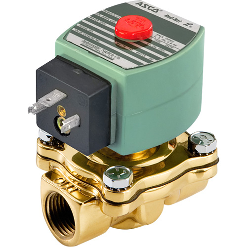 Robinet &eacute;lectromagn&eacute;tique, Tuyau de 1/2", 150 psi Quali-T-Solutions