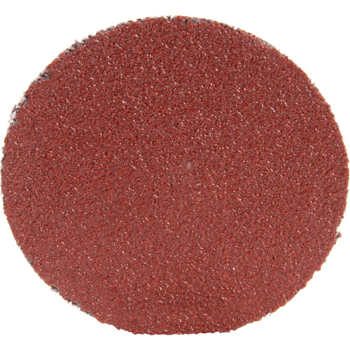 Disque 361F Roloc, 1-1/2" dia., Grain P100, Oxyde d'aluminium Quali-T-Solutions