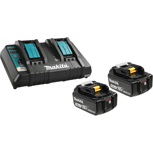 Li-Ion Battery & Dual-Port Charger Kit, 18 V, Lithium-Ion Quali-T-Solutions