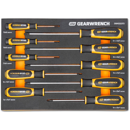 Jeu de tournevis bimat&eacute;riau Torx dans un plateau de rangement en mousse, 10 mcx Quali-T-Solutions