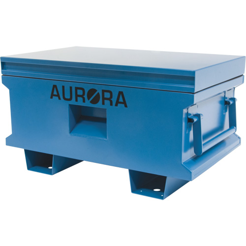 Coffre &agrave; outils de chantier, 33" x 20-3/10" x 18-3/10", Acier, Bleu Quali-T-Solutions
