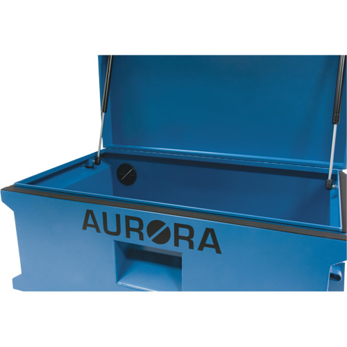 Coffre &agrave; outils de chantier, 33" x 20-3/10" x 18-3/10", Acier, Bleu Quali-T-Solutions