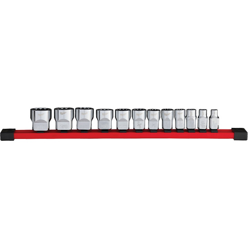 12-Point SAE Socket Set, 12 Pcs, 3/8" Drive Size Quali-T-Solutions