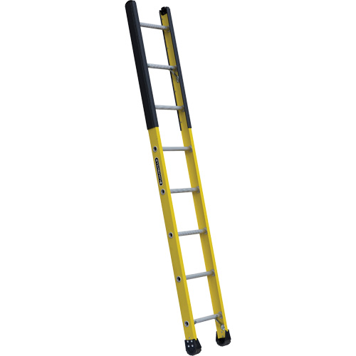 &eacute;chelle &eacute;troite pour trou d'homme, 8', Fibre de verre, 375 lb, CSA calibre 1AA Quali-T-Solutions