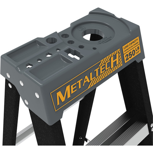 Escabeau avec plateau &agrave; peinture, 10', Fibre de verre, Capacit&eacute; 250 lb, Type 1 Quali-T-Solutions