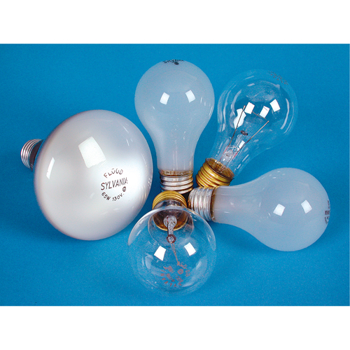 LAMPE INCANDESCENTE,25W,130V,GIVREE,2/PQT Quali-T-Solutions