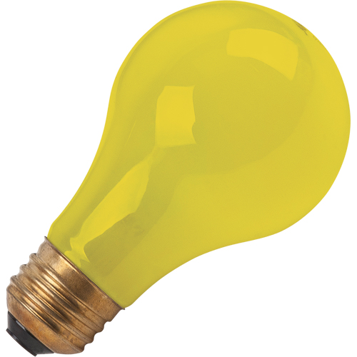LAMPE INCANDESCENTE,BUG-LITE,60W,120V,2/PQT Quali-T-Solutions