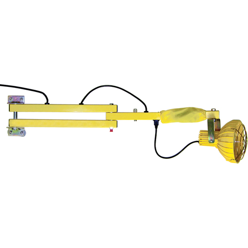 Lampes avec bras flexible pour quais, Ampoule Incandescente, Bras 40" Quali-T-Solutions