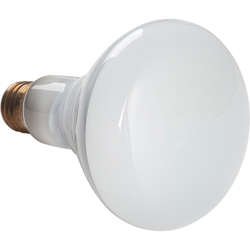 Lampes &agrave; incandescence &eacute;conomiques Quali-T-Solutions