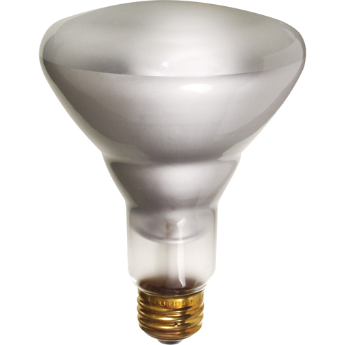 Lampes &agrave; incandescence &eacute;conomiques Quali-T-Solutions