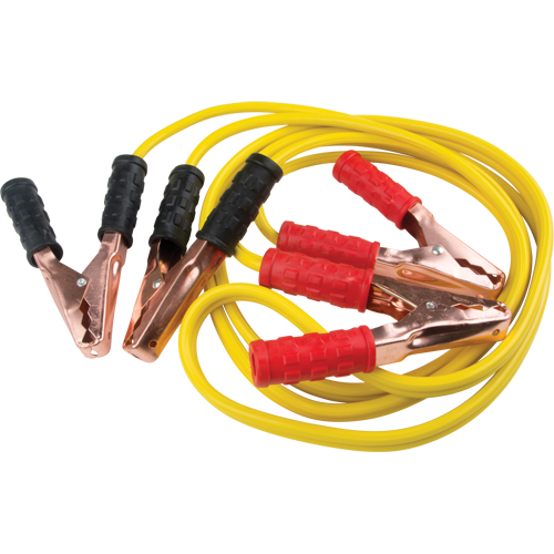 C&acirc;ble de survoltage, 8 AWG, 150 A, C&acirc;ble 10' Quali-T-Solutions