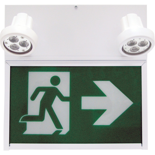 Running Man Exit Sign, LED, Battery Operated/Hardwired, 12" L x 12 1/2" W, Pictogram Quali-T-Solutions