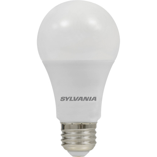 Ampoule DEL, A19, 8,5 W, 800 lumens, base Moyen Quali-T-Solutions