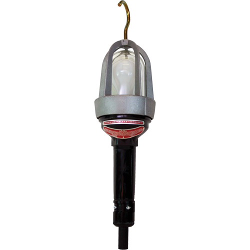 Hazardous Location Handlamp Quali-T-Solutions