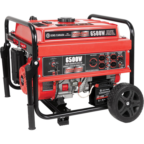 G&eacute;n&eacute;ratrice &agrave; essence &agrave; d&eacute;marrage &eacute;lectrique avec ensemble de roues, 6500 W de surtension, 5000 W nominale, 120 V/240 V, R&eacute;servoir de 20 L Quali-T-Solutions
