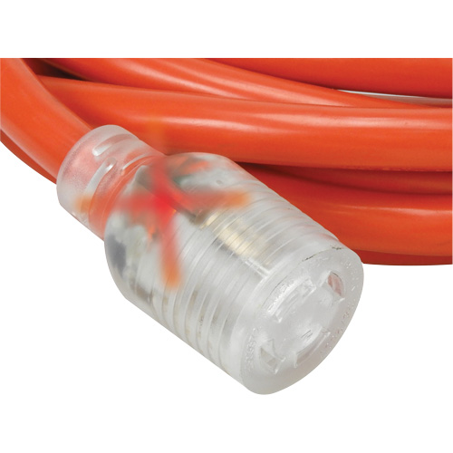 Rallonge pour g&eacute;n&eacute;ratrice &agrave; quatre prises, Ext&eacute;rieur, AWG 10, 30 A, 4 prise(s), 25' Quali-T-Solutions
