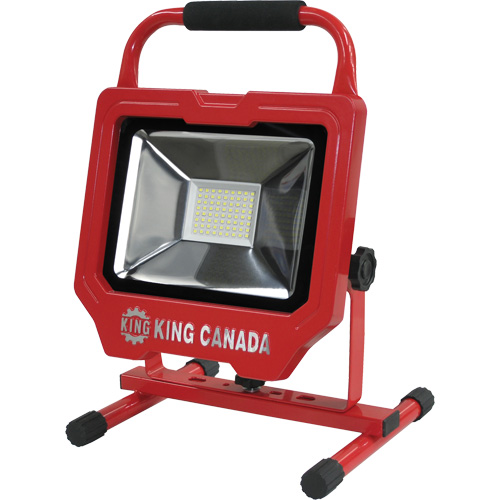 Lampe de travail, DEL, 36 W, 4000 lumens, Boîtier en Aluminium Quali-T-Solutions