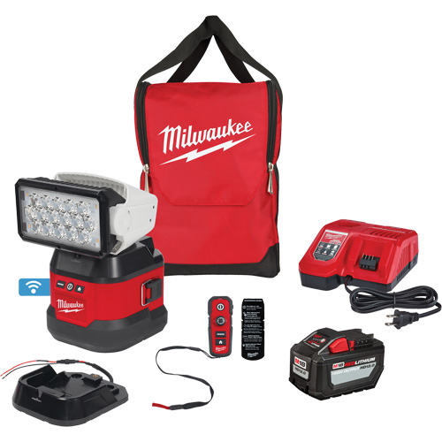 Ensemble d'&eacute;clairage orientable polyvalent &agrave; t&eacute;l&eacute;commande, DEL, 4250 lumens Quali-T-Solutions