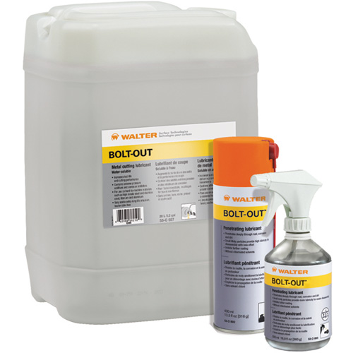 Lubrifiant d&eacute;grippant Bolt-Out, Canette a&eacute;rosol Quali-T-Solutions